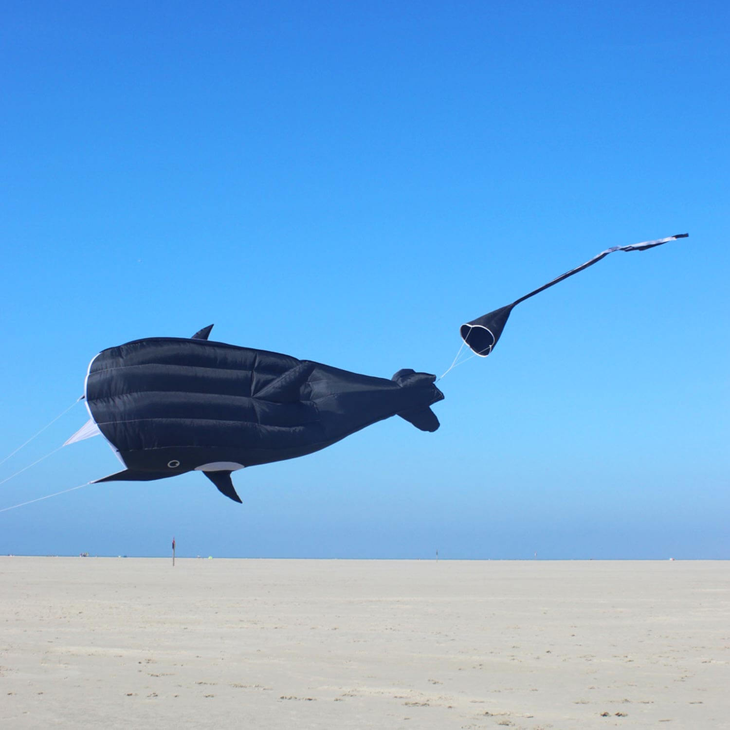 Wolkenstürmer - Einleiner Drachen Willi The Whale Wal am Strand Wolkenstürmer - Einleiner Drachen Willi The Whale Wal am Strand