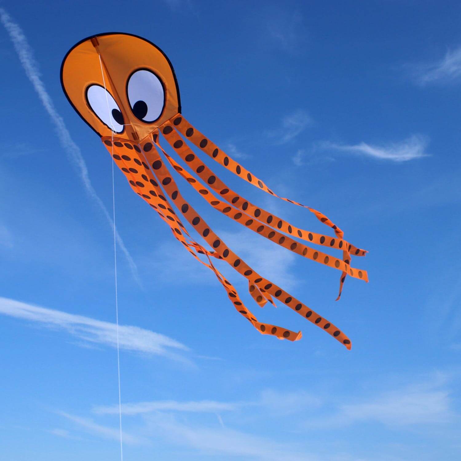 Wolkenstürmer - Kinderdrachen Olli Octopus Krake in Orange am Himmel