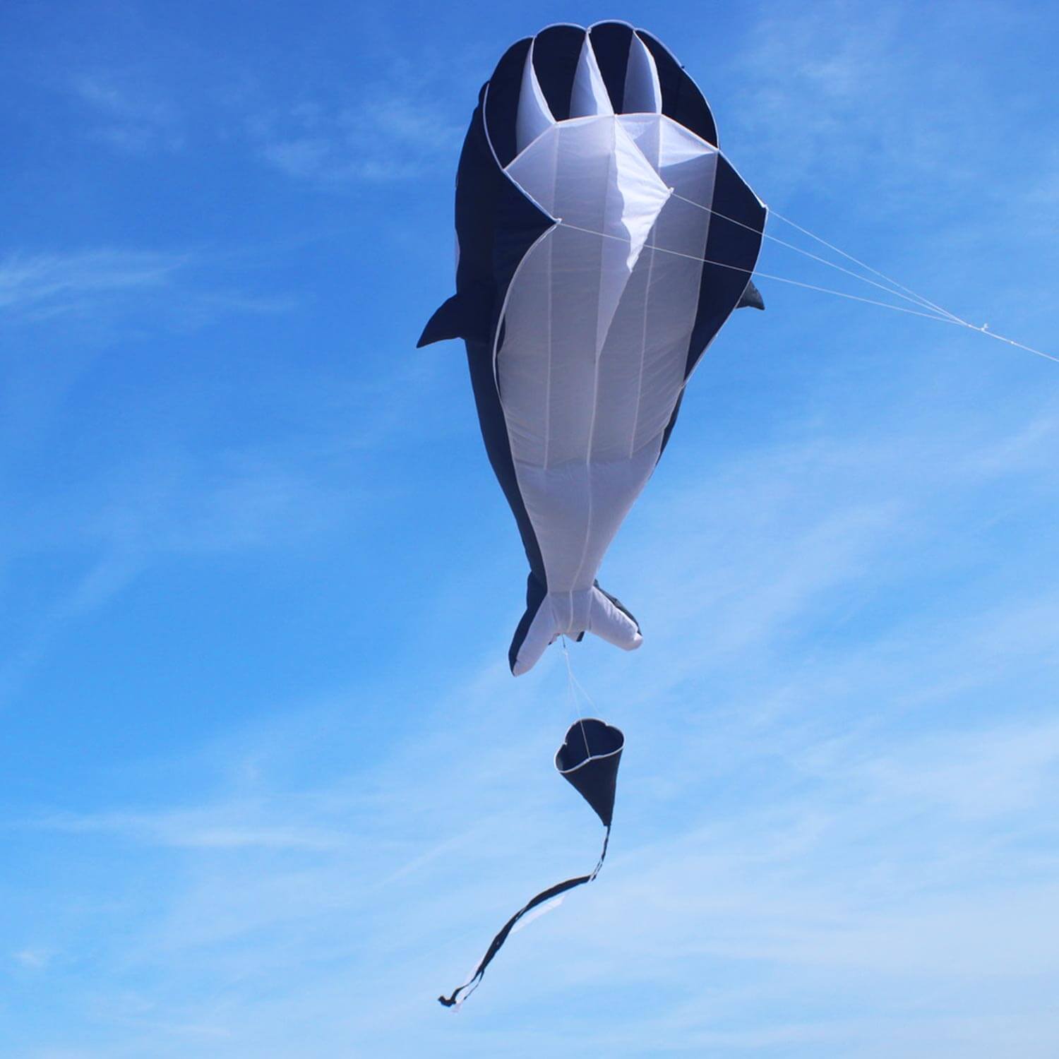 Wolkenstürmer - Einleiner Drachen Willi The Whale Wal Ansicht von Unten