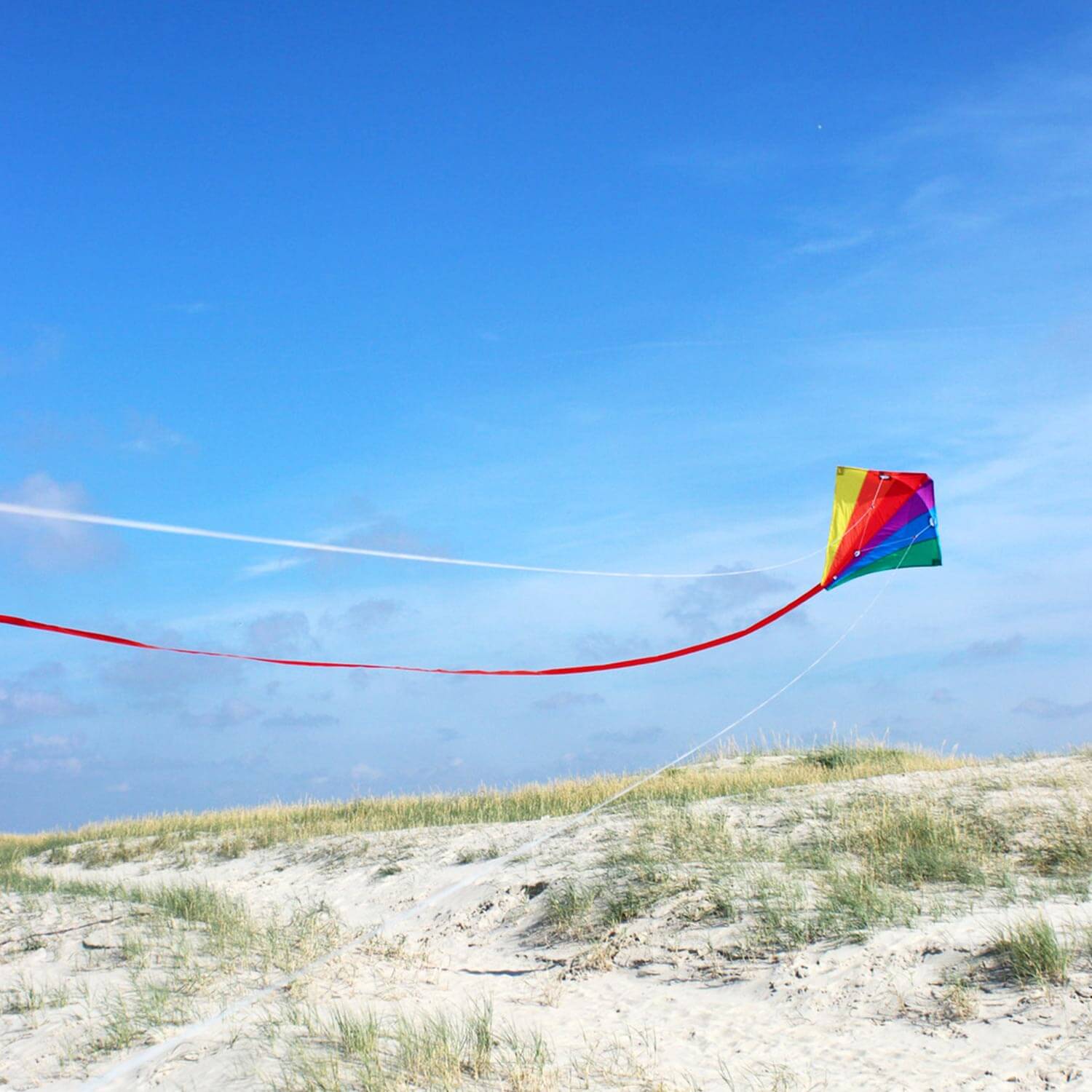 Wolkenstürmer - Lenkdrachen Racer Regenbogen Strand 001 Wolkenstürmer - Lenkdrachen Racer Regenbogen Strand 001