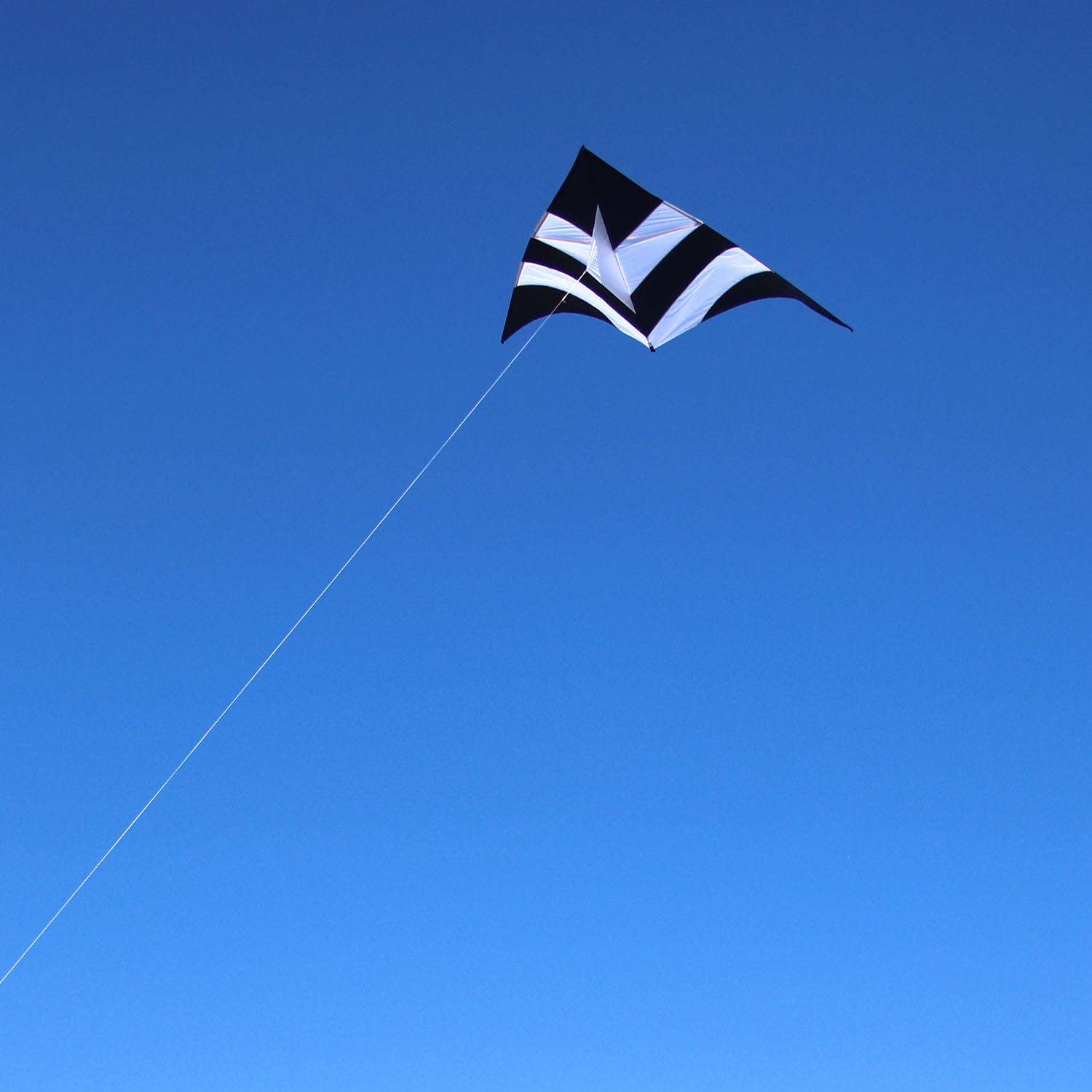 Wolkenstürmer - Delta Black And White Schwarz Weiß Drachen Strand