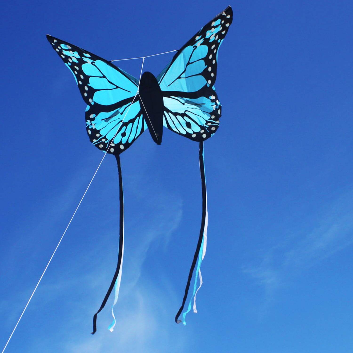 Wolkenstürmer - Kinderdrachen Bella Schmetterling Blau Strand Wolkenstürmer - Kinderdrachen Bella Schmetterling Blau Strand
