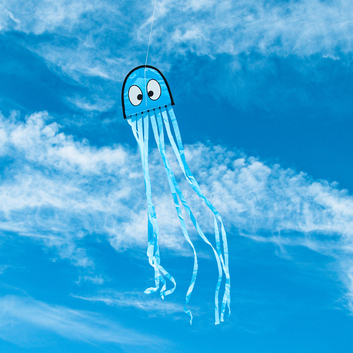 Wolkenstürmer - Kinderdrachen Mini Octopus Krake in Blau am Himmel