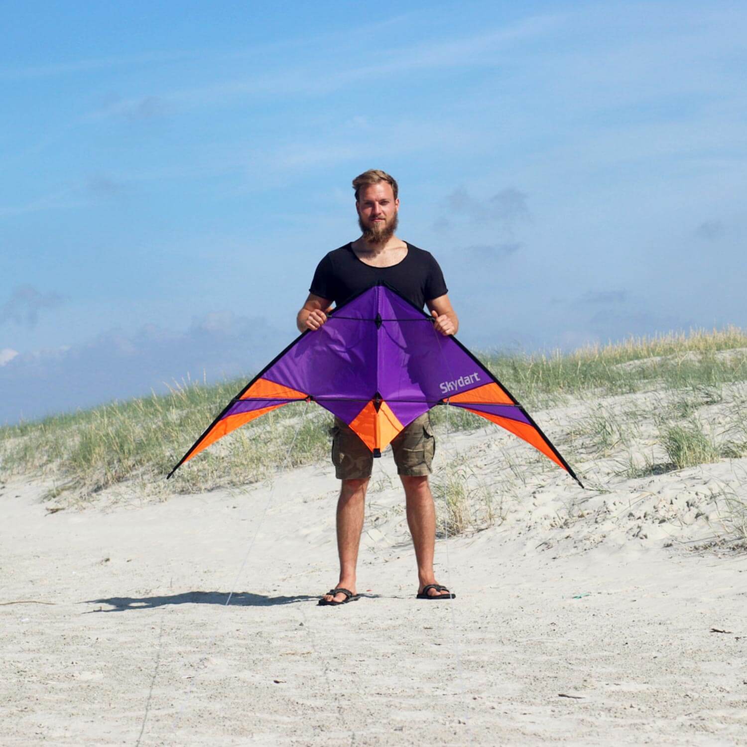 Wolkenstürmer - Lenkdrachen Skydart Lila Strand