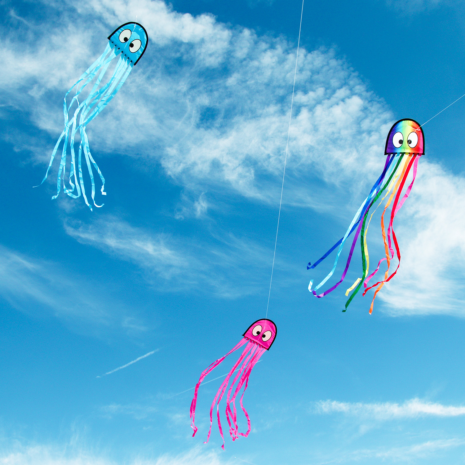 Wolkenstürmer - Kinderdrachen Mini Octopus Krake Bunt am Himmel