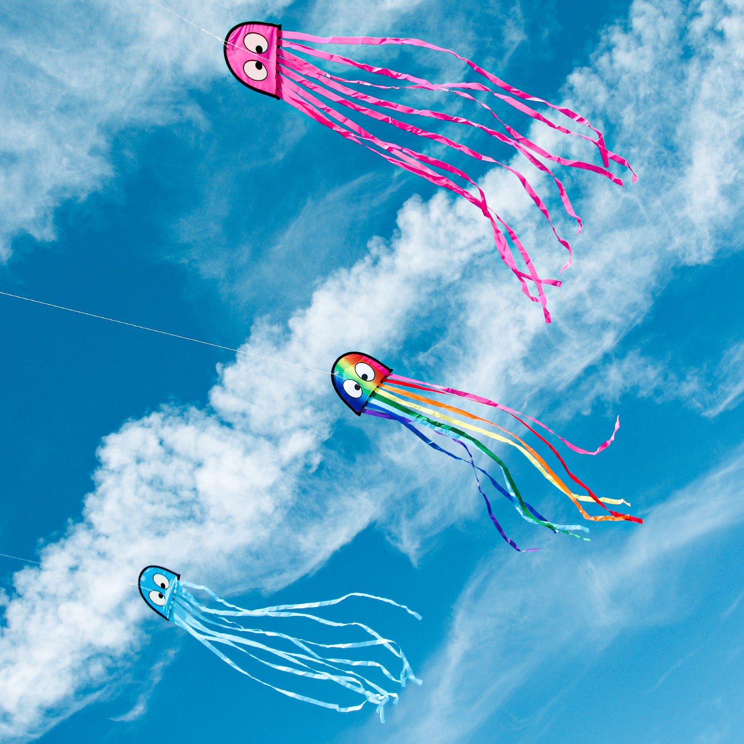 Wolkenstürmer - Kinderdrachen Mini Oktopus Krake Bunt am Himmel